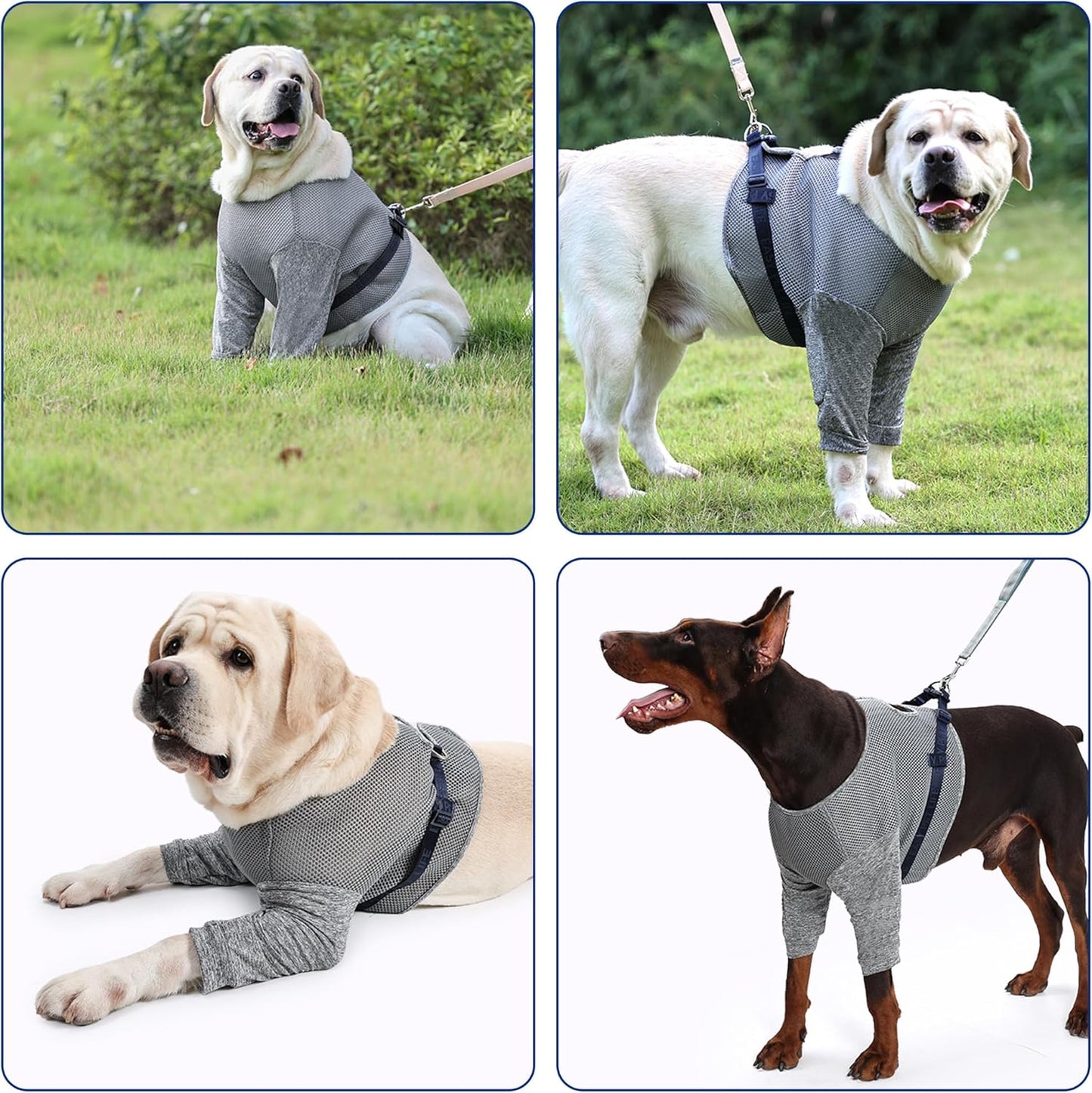 Dog Recovery Sleeves - Soft Dog Surgery Recovery Sui, Breathable & Adjustable Post-Op Vest, Protects Your Dog's Elbows from Chafing and Stop Licking, Summer Cooling Recovery Suit (M)
