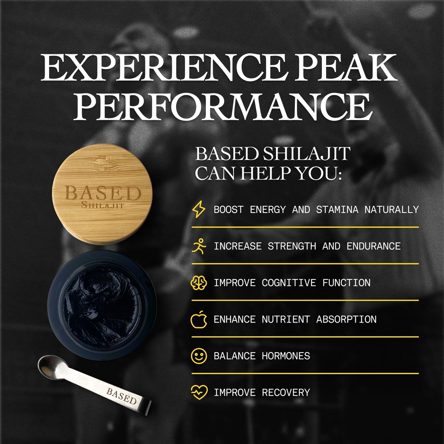 Shilajit Resin
